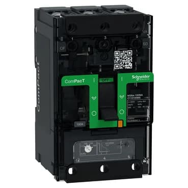 Schneider Electric C113100BS
