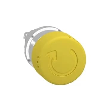 Schneider Electric ZB4BS45